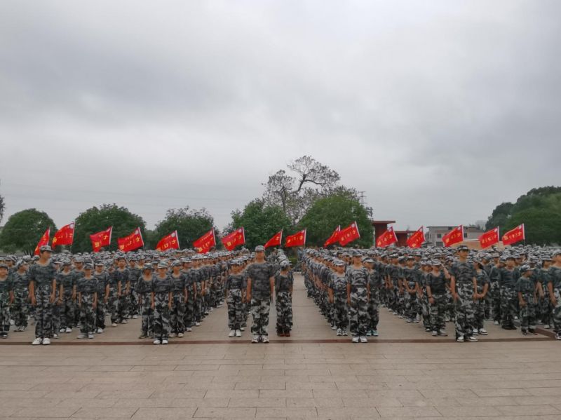 图片4