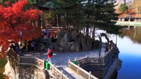 【赣闻天下】九江庐山：小雪枫红暮 绚丽悦客情