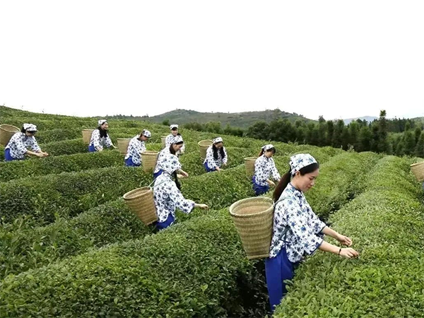 微信图片_20240219100339