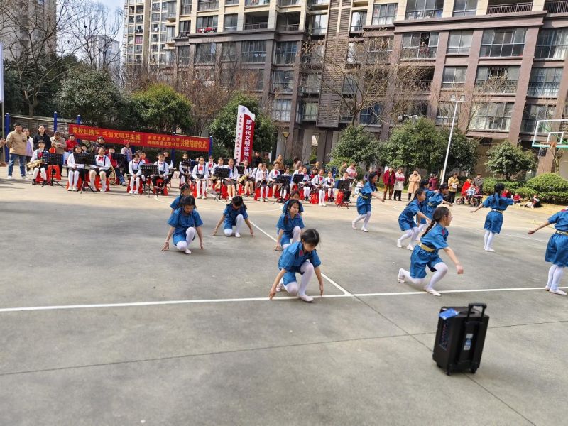 （《万泉河水清又清》舞蹈表演）