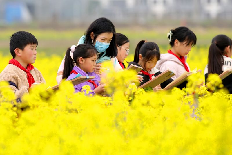 图1：<p>“三八”国际劳动妇女节期间，宜春市宜丰县城乡各地广大妇女纷纷通过开展学雷锋志愿服务活动及载歌载舞等多种形式庆祝自己的节日。</p>图为宜丰县天宝中心小学青年女教师带着美术兴趣小组的学生到油菜花海“写”春光。何贱来摄