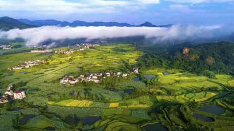 微信图片_20240329113401