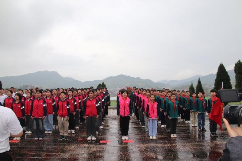 图片5