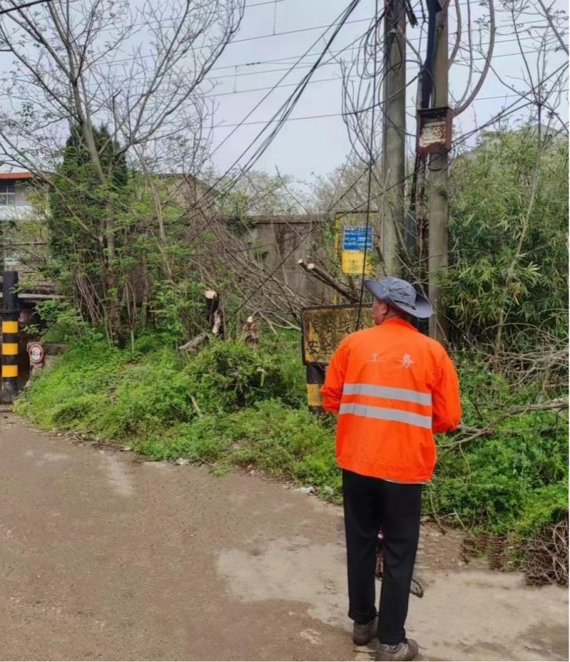 （作业后现场照片）