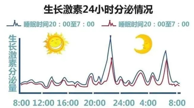 微信截图_20240520171317