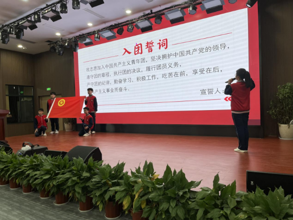 图片9