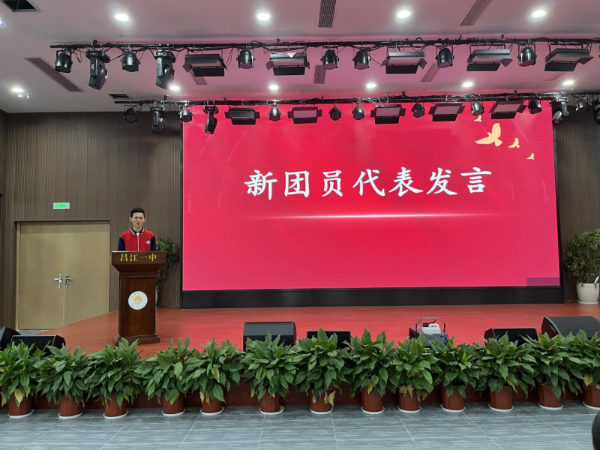 图片11
