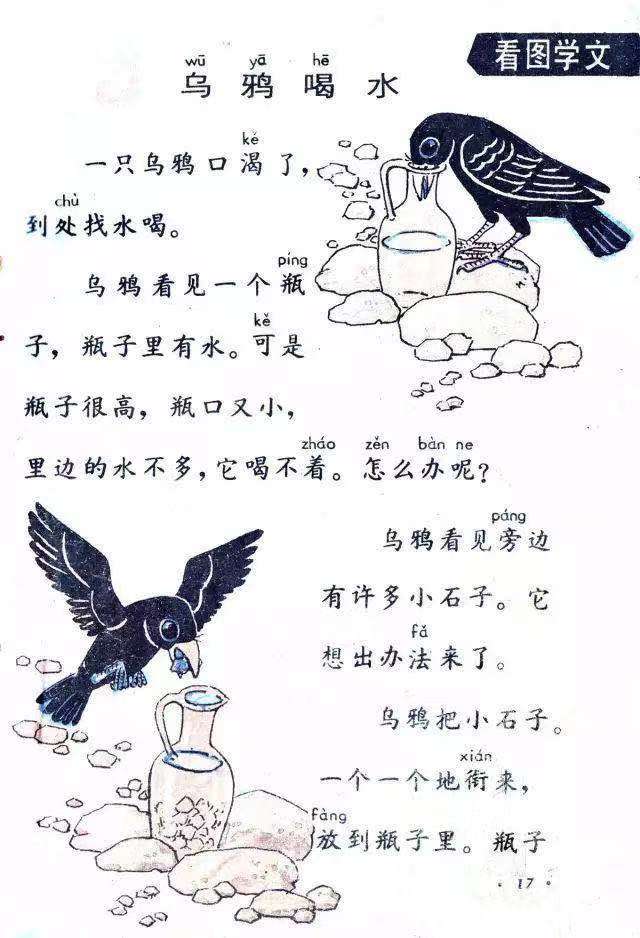 乌鸦喝水课文 课本图片