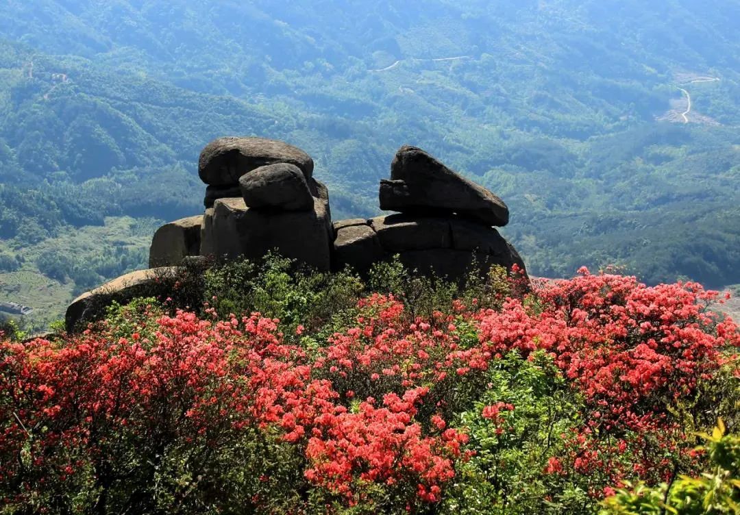 燥石,新幹旅遊經典景點之一,受寵指數五星呢.光聽名字就很吸引人!