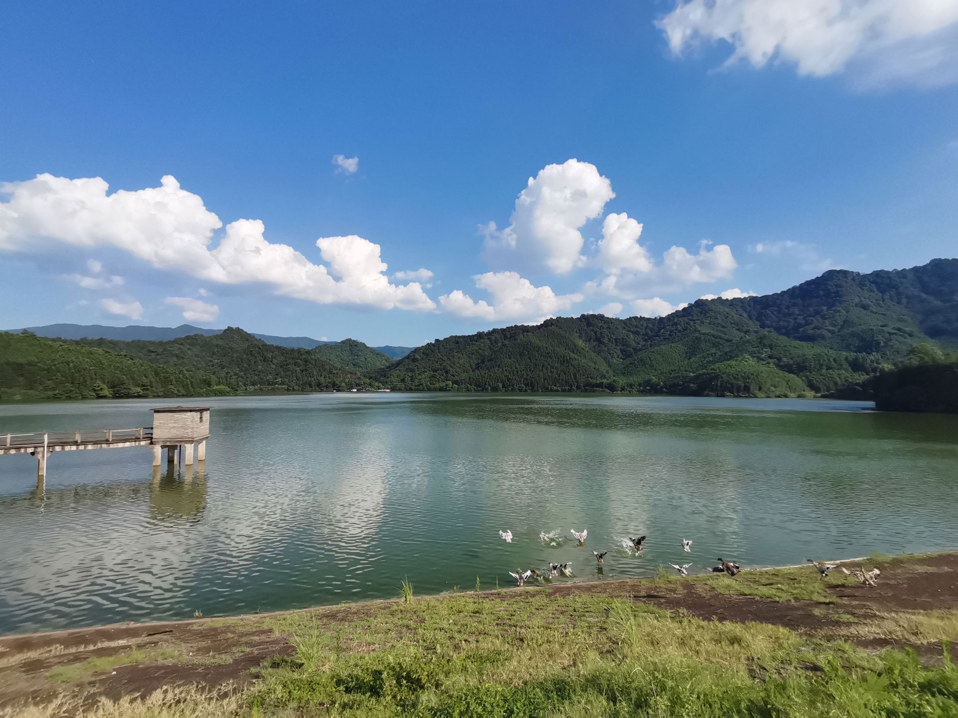 新会玉湖干水图片