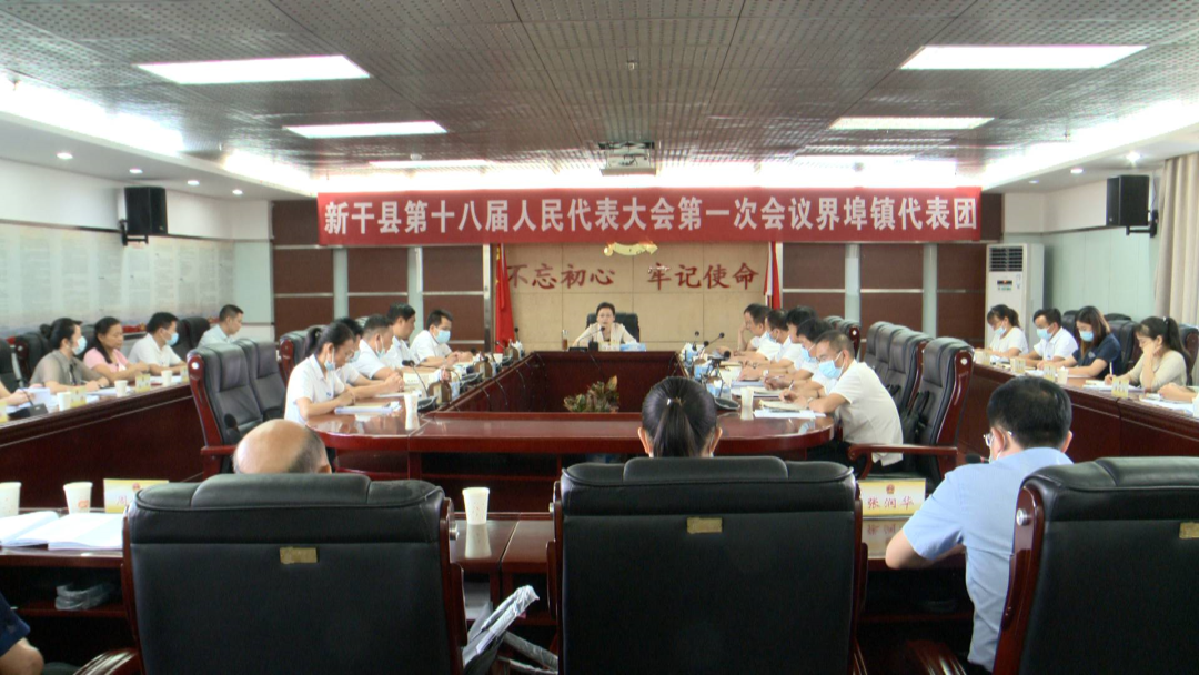 县委书记谭晓艳,县领导杨海涛参加了界埠镇代表团审议.