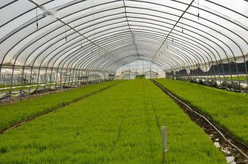 亚新体育【科技助农】盘点五种农业新型种植技术(图3)