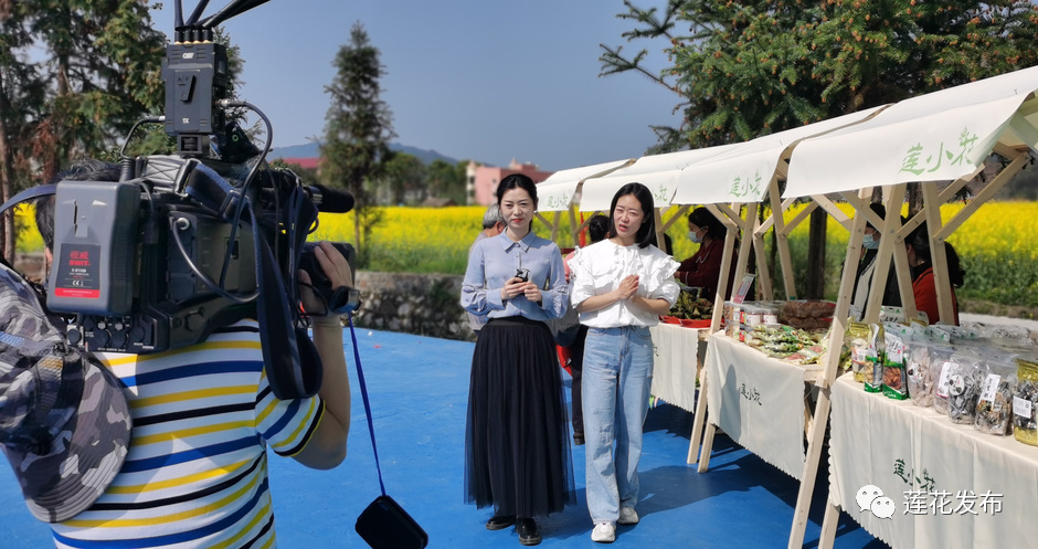 萍乡莲花油菜花节图片