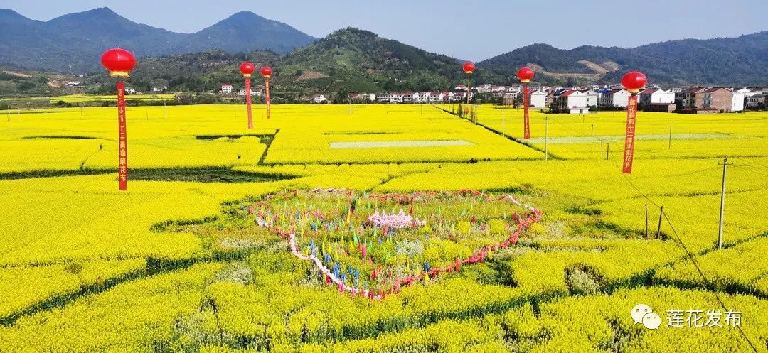 萍乡莲花油菜花节图片