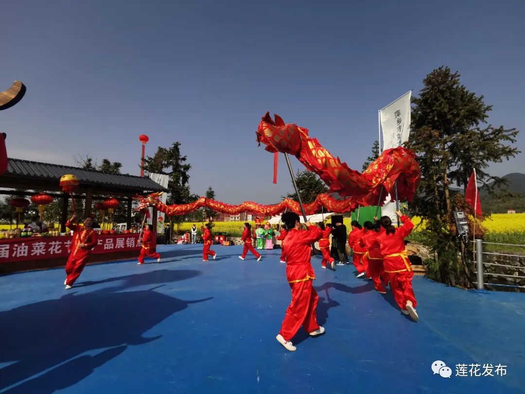 萍乡莲花油菜花节图片