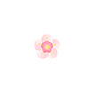 ͼƬ