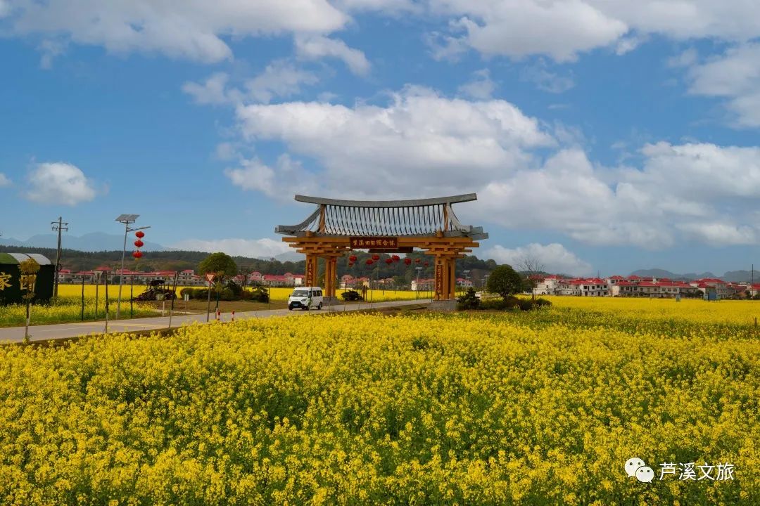 等闲识得东风面,万紫千红总是春紫溪村的四季花海,脱离城市喧嚣,此刻