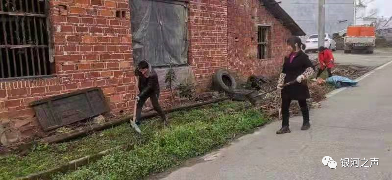 ͼƬ