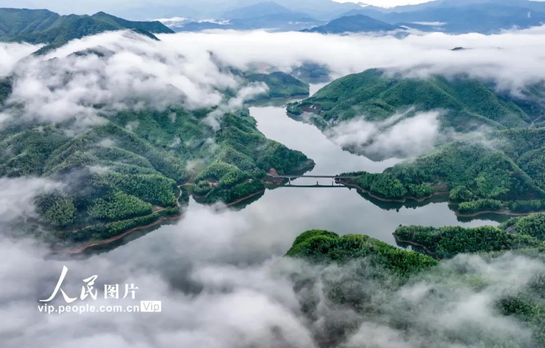 央媒聚焦人民网首页大图报道上埠镇山口岩湿地公园