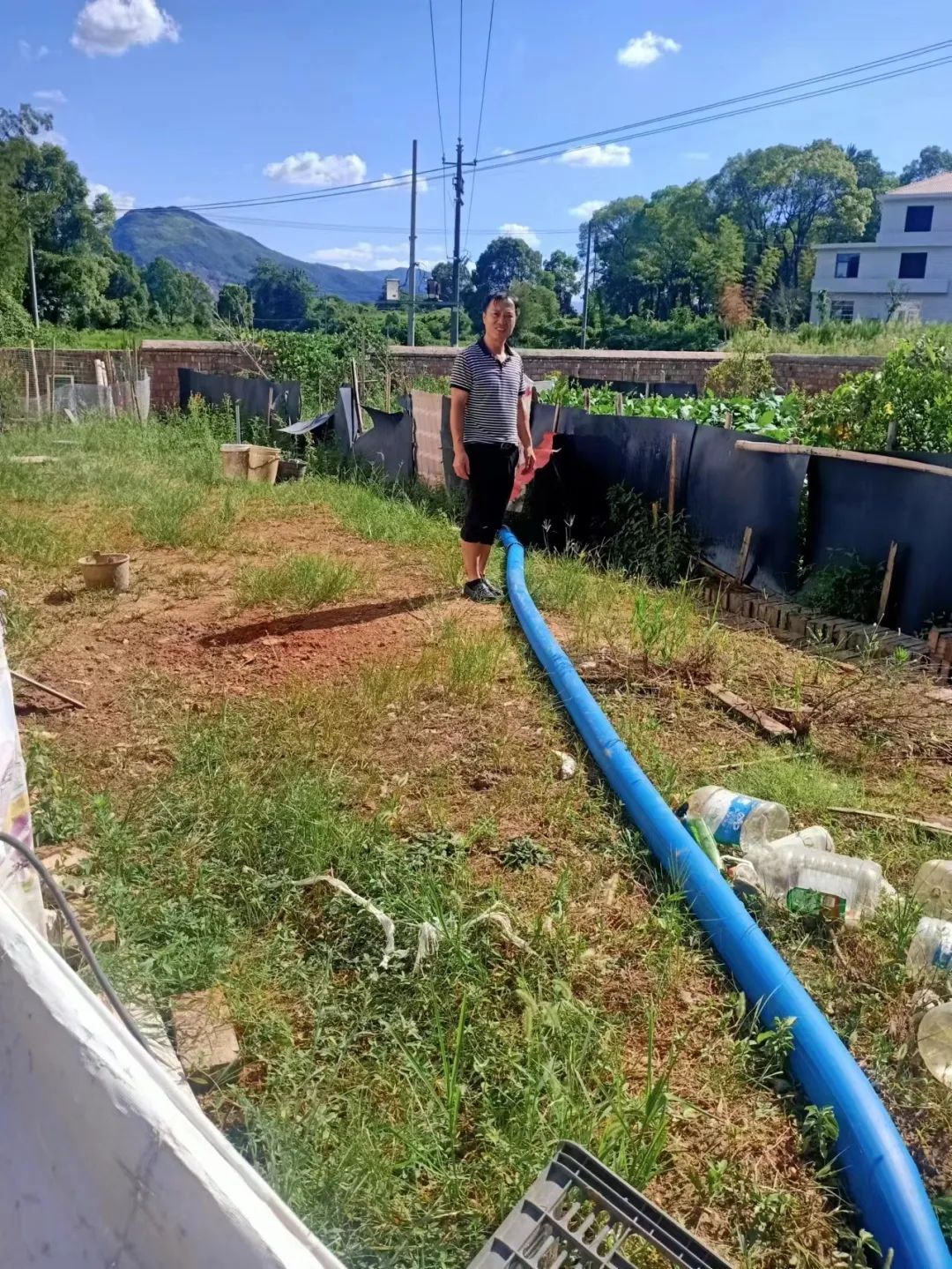 ͼƬ