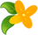ͼƬ