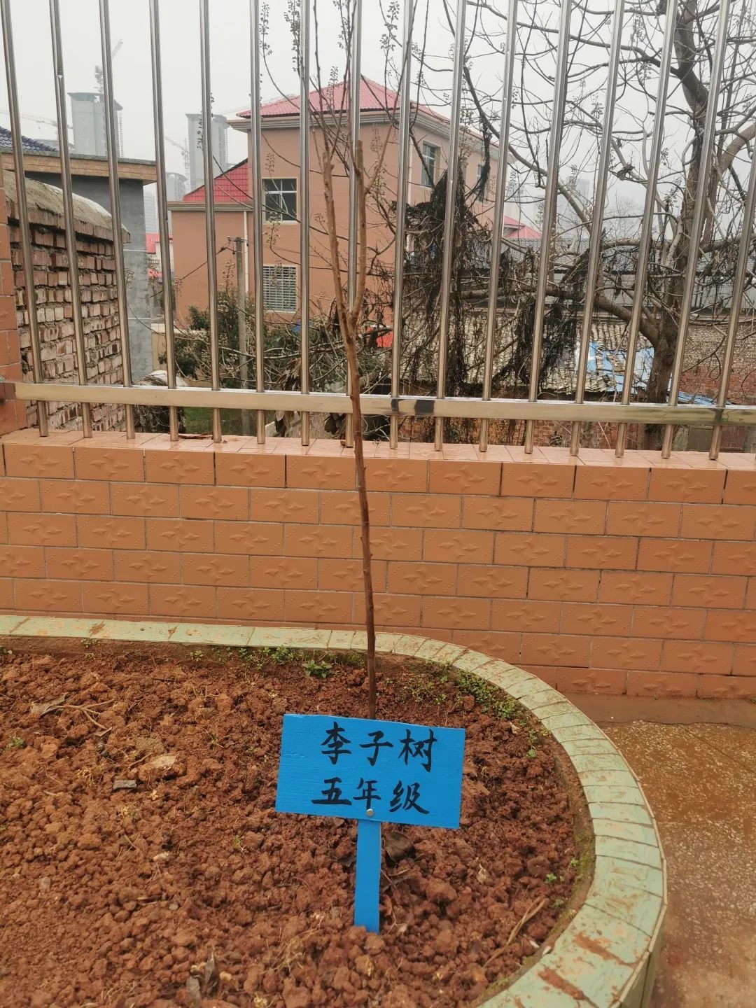 ͼƬ