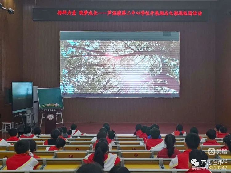 ͼƬ
