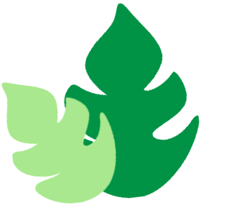 ͼƬ