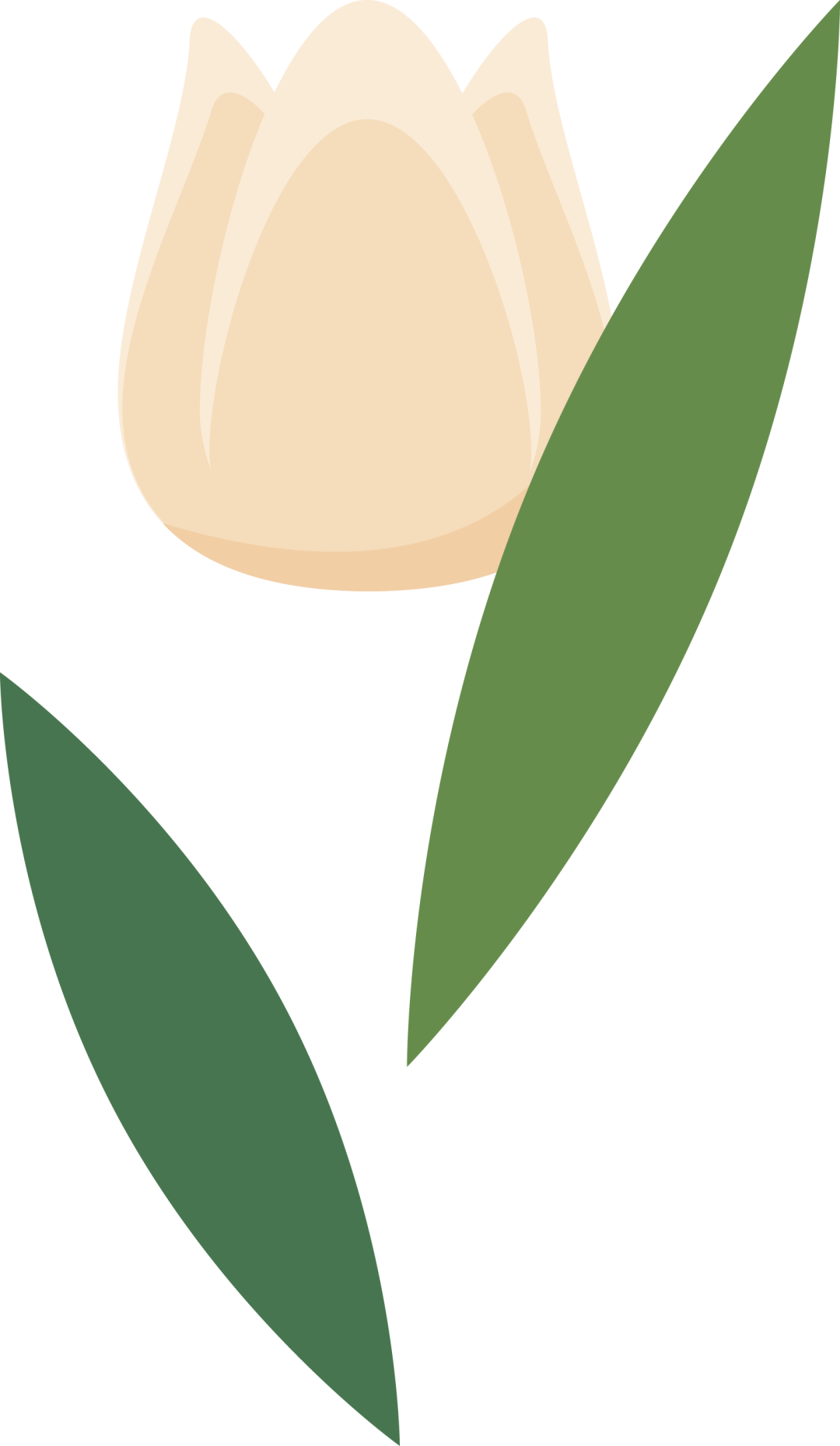 ͼƬ