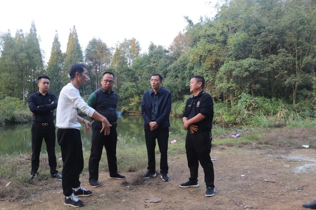ͼƬ