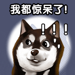 ͼƬ