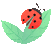 ͼƬ