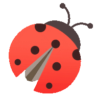 ͼƬ