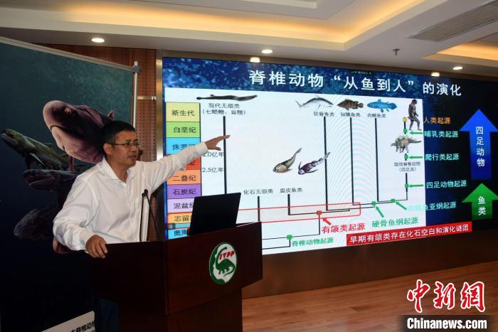 朱敏院士科普解读“从鱼到人”探源研究最新成果。　中新社记者 孙自法 摄