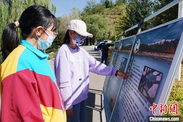 图为学生通过展板认识野生动物。　马铭言 摄