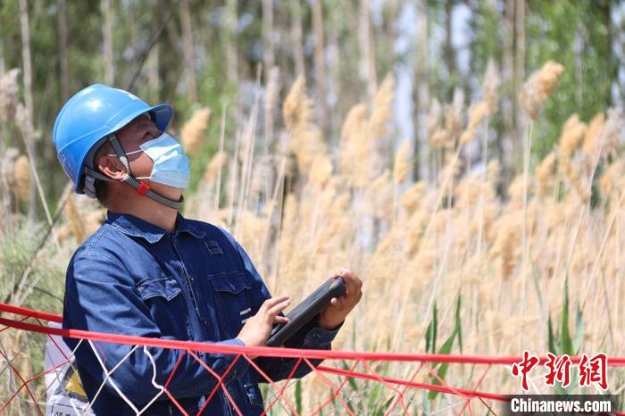 使用智能带电作业机器人极大地提高了工作效率和安全性。　曾昭坤 摄