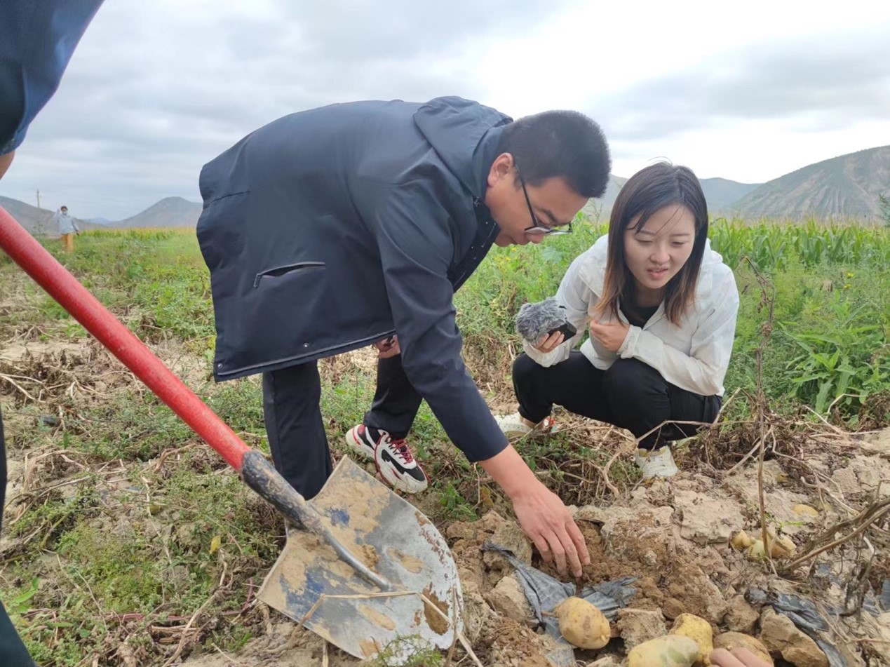 定西市安定区农技服务中心高级农技师陈雄(左一)正查看马铃薯田的土壤情况，进行技术指导。