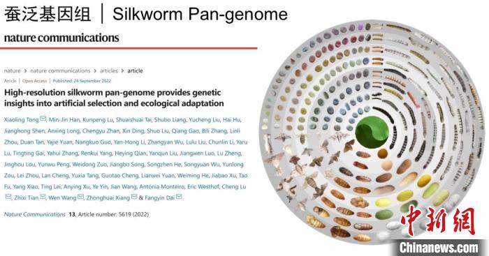 图为家蚕生命周期各阶段丰富的表型多样性。　家蚕基因组生物学国家重点实验室供图