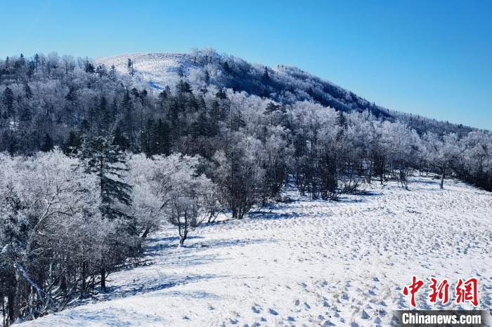 黑龙江亚雪公路迎来入秋以来最大降雪 孙强烈 摄