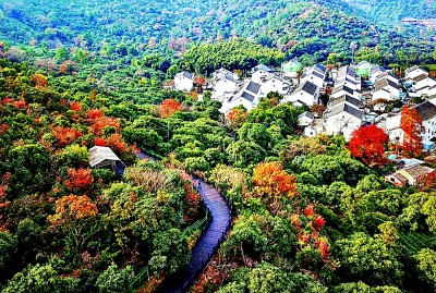 陪伴是对树山最长情的告白