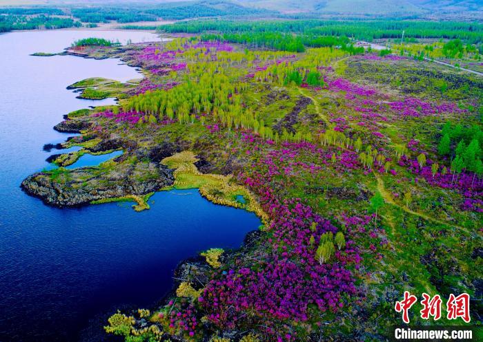 图为航拍杜鹃湖。 阿尔山市委宣传部供图 图为航拍杜鹃湖。 阿尔山市委宣传部供图