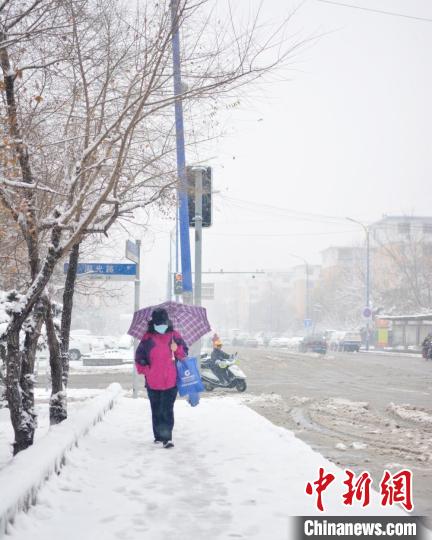 长春市民冒雪出行。　郭佳 摄