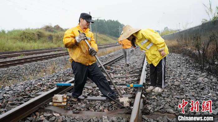 玉林工务段职工在雨中为线路清除不良病害，确保线路安全。　李慕传 摄