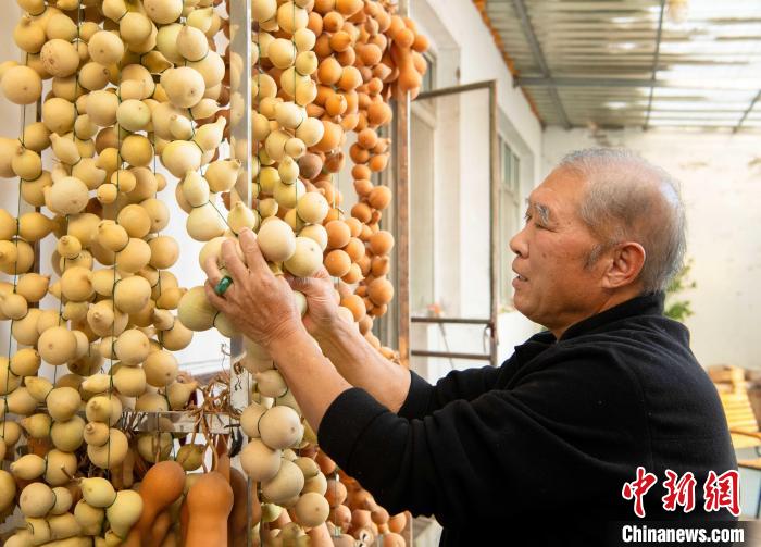 图为在河北省三河市燕郊镇梁家务村，何永江正在挑选制作鸽哨的葫芦。　冷益平 摄