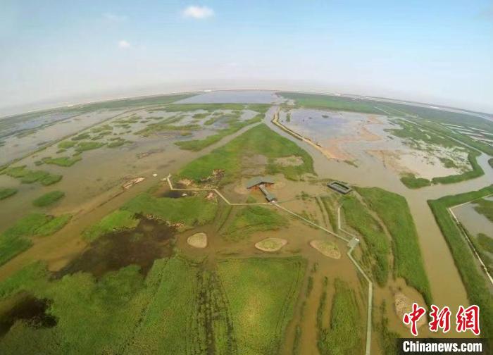截至2019年底,上海市国土范围内湿地面积达7.27万公顷。 上海市绿化和市容管理局供图 截至2019年底,上海市国土范围内湿地面积达7.27万公顷。 上海市绿化和市容管理局供图
