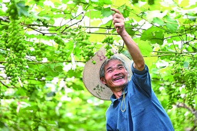 抱团聚力让兴村富民火更旺