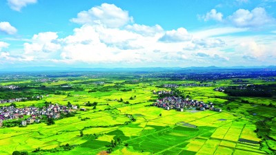 抱团聚力让兴村富民火更旺