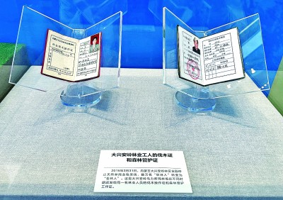 【奋进新时代·展品背后的故事】见“证”大兴安岭绿色变迁