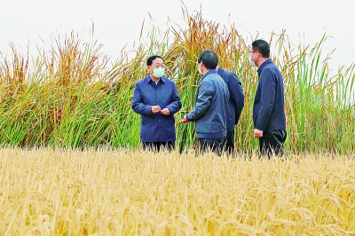 【奋进新征程 建功新时代·二十大代表在基层】殷向杰代表：端牢“中国饭碗” 推动绿色发展