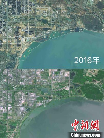 2016年与2022年安徽合肥巢湖湖滨国家湿地公园卫星对比图。　星图地球供图。